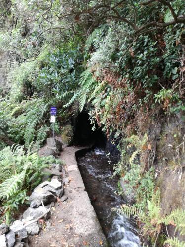 Bungalow del hotel Casa La Majada. Foto 25