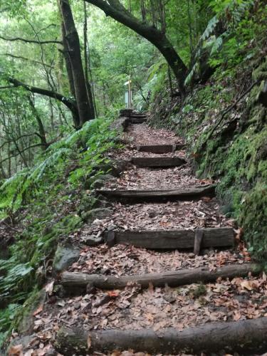 Bungalow del hotel Casa La Majada. Foto 28