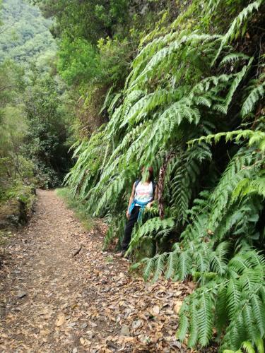 Bungalow del hotel Casa La Majada. Foto 29