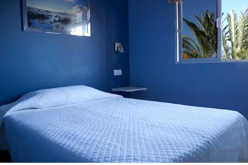 Apartamento del hotel Apartamentos Concha. Foto 5