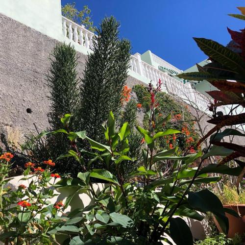 Apartamento del hotel Apartamentos Concha. Foto 20