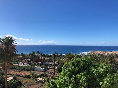 Apartamento del hotel Apartamentos Concha. Foto 21