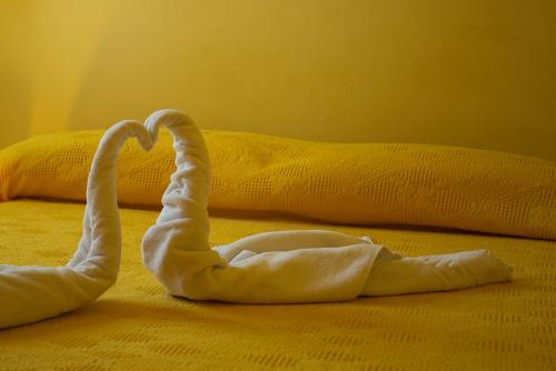 Apartamento del hotel Apartamentos Concha. Foto 12