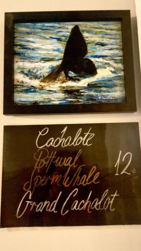 Estudio con balcón del hotel Apartamentos Mesa. Foto 14