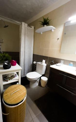 Estudio con terraza del hotel Apartamentos Mesa