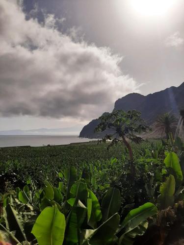 Apartamento de 1 dormitorio del hotel Apartamentos Playa. Foto 16