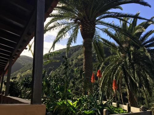 Casa con 1 dormitorio del hotel Casa Rural El Rincón de Antonia. Foto 13