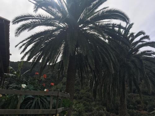 Casa con 1 dormitorio del hotel Casa Rural El Rincón de Antonia. Foto 27