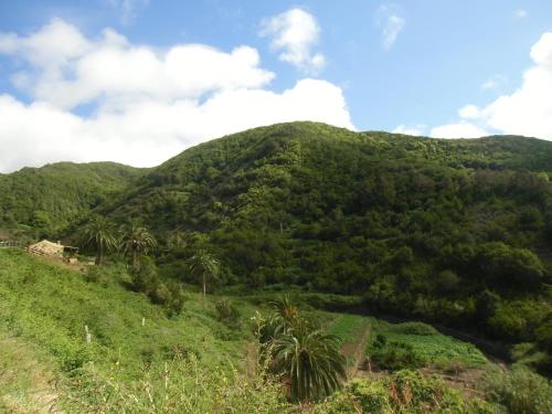Casa con 1 dormitorio del hotel Casa Rural El Rincón de Antonia. Foto 30