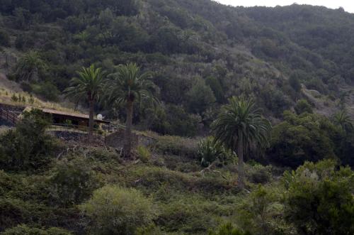 Casa con 1 dormitorio del hotel Casa Rural El Rincón de Antonia. Foto 34
