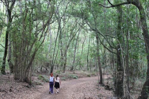 Casa con 1 dormitorio del hotel Casa Rural El Rincón de Antonia. Foto 53
