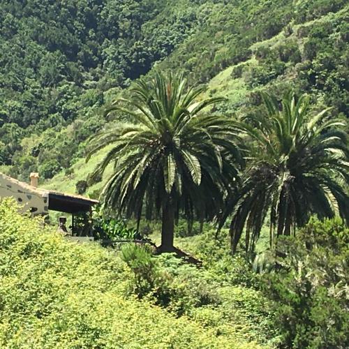 Casa con 1 dormitorio del hotel Casa Rural El Rincón de Antonia. Foto 62