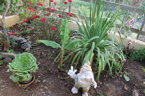 Casa con 1 dormitorio del hotel Casa Rural El Rincón de Antonia. Foto 39