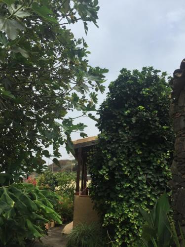 Casa con 1 dormitorio del hotel Casa Rural Las Rosas. Foto 18