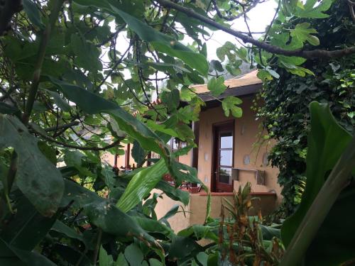 Casa con 1 dormitorio del hotel Casa Rural Las Rosas. Foto 21