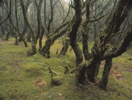 Villa de 1 dormitorio del hotel Casas Rurales Serrillal. Foto 28