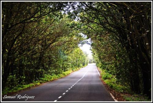 Villa de 1 dormitorio del hotel Casas Rurales Serrillal. Foto 31