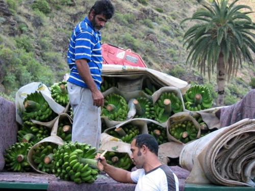 One-Bedroom Villa del hotel Casas Rurales Serrillal. Foto 26