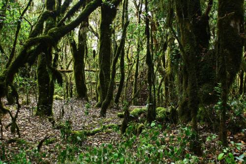 One-Bedroom Villa del hotel Casas Rurales Serrillal. Foto 29