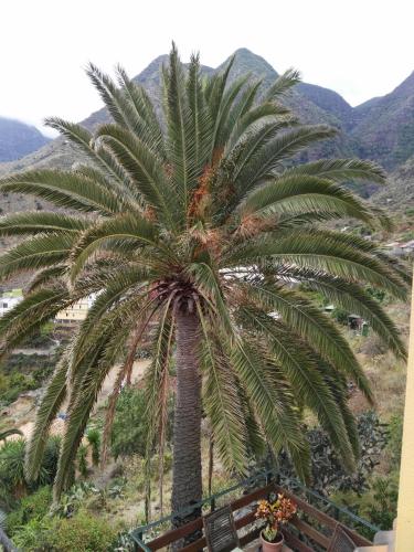 Deluxe One-Bedroom Villa del hotel Casas Rurales Serrillal. Foto 14