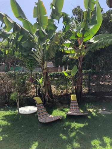 Apartamento de 1 dormitorio con vistas a las montañas y jardín del hotel Caserío de la Playa - Adults Only. Foto 15