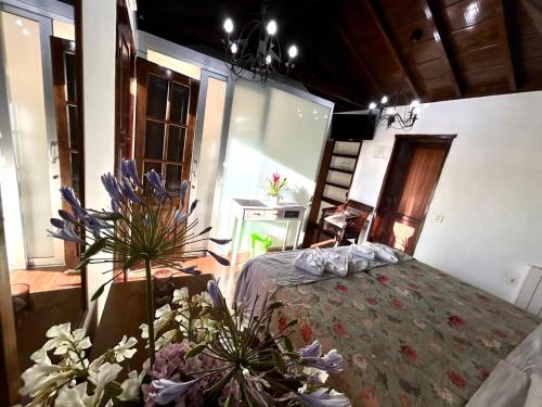 Habitación Doble Superior del hotel Jardin Las Hayas. Foto 18