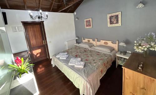 Habitación Doble Superior del hotel Jardin Las Hayas. Foto 21