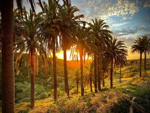 Habitación Doble Superior del hotel Jardin Las Hayas. Foto 34