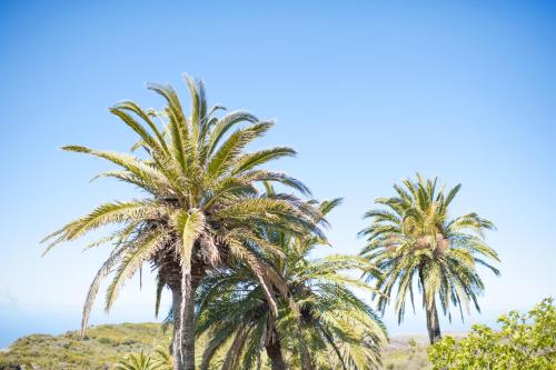 Casa de campo de 1 dormitorio del hotel Jardin Las Hayas. Foto 14