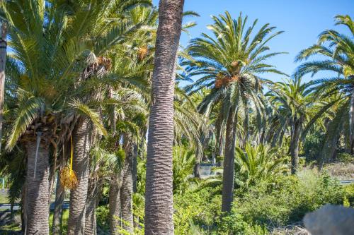 Cabaña Estándar del hotel Jardin Las Hayas. Foto 9