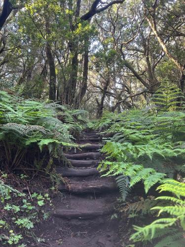 Habitación Doble Superior del hotel Jardin Las Hayas. Foto 30