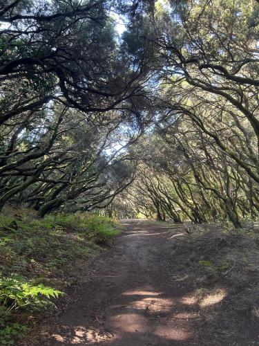 Habitación Doble Superior del hotel Jardin Las Hayas. Foto 35