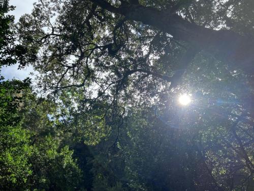 Habitación Doble Superior del hotel Jardin Las Hayas. Foto 37