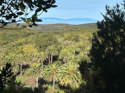 Habitación Doble Superior del hotel Jardin Las Hayas. Foto 43