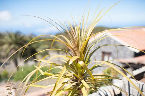 Casa de campo de 1 dormitorio del hotel Jardin Las Hayas. Foto 13