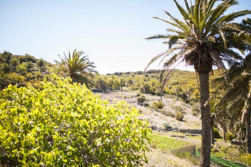 Casa de campo de 1 dormitorio del hotel Jardin Las Hayas. Foto 15