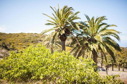 Casa de campo de 1 dormitorio del hotel Jardin Las Hayas. Foto 16