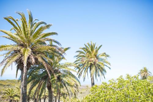 Casa de campo de 1 dormitorio del hotel Jardin Las Hayas. Foto 17