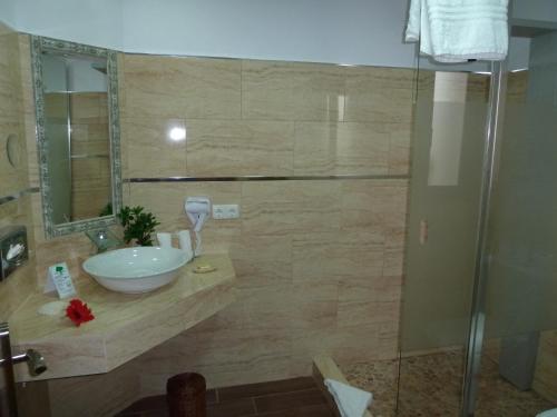 Habitación Doble Deluxe del hotel Birdcage Gay Resort - Adult Only. Foto 19