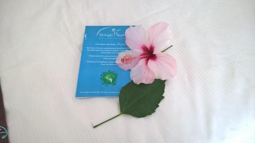 Suite con vistas al jardín del hotel Birdcage Gay Resort - Adult Only. Foto 1