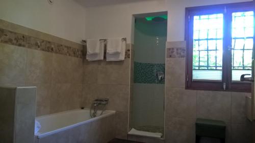 Suite Junior del hotel Birdcage Gay Resort - Adult Only. Foto 2
