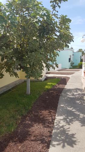 Bungalow de un dormitorio del hotel Bungalows Tisaya Golf. Foto 16