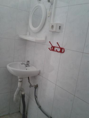 Habitación Individual con baño privado del hotel Falow. Foto 4