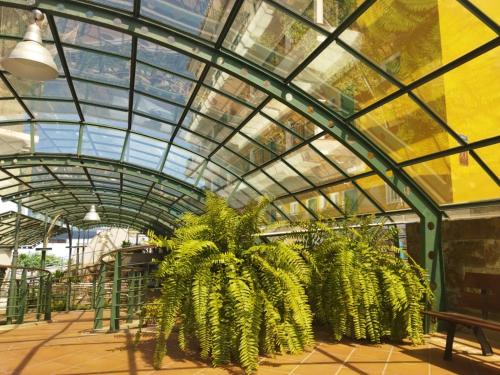 Estudio del hotel La Carabela. Foto 19