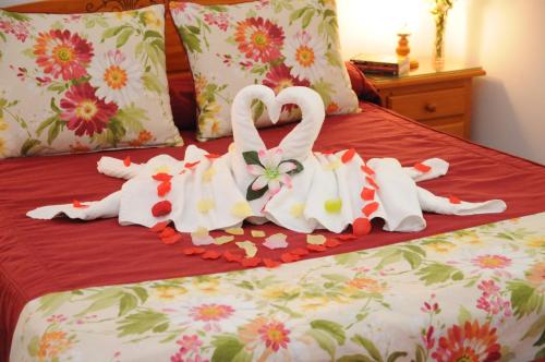 Apartamento Confort del hotel EmyCanarias Holiday Homes. Foto 3