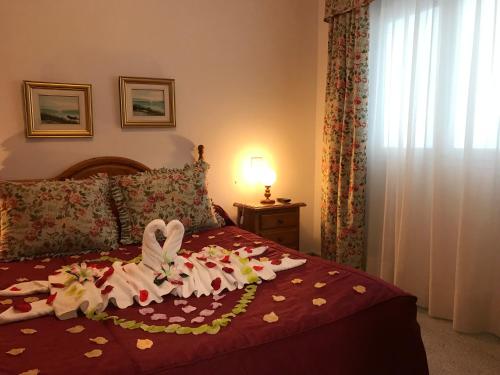 Apartamento Confort del hotel EmyCanarias Holiday Homes. Foto 7