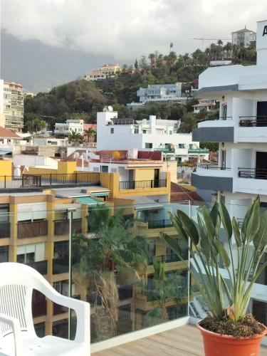 Studio ( 2 Adults) del hotel Park Plaza. Foto 2