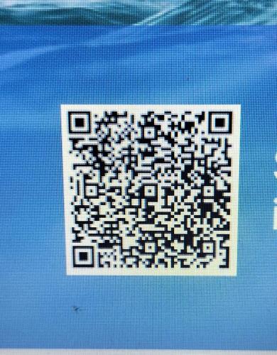 Habitación Individual Estándar del hotel Pez Azul. Foto 5