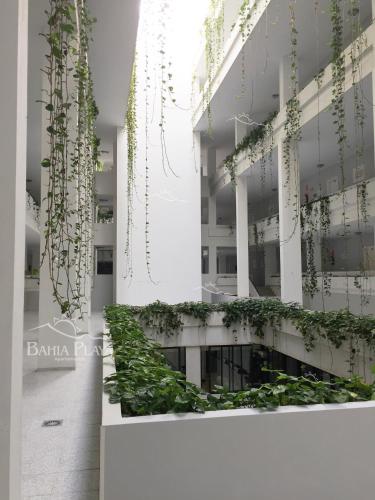 Apartamento de 1 dormitorio con vistas a la calle del hotel Bahia Playa. Foto 1