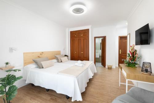 Habitación Doble Premium del hotel Don Manolito. Foto 7